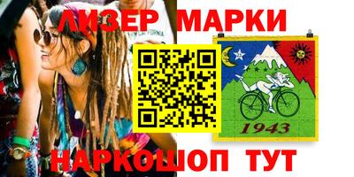 крисы Новодвинск