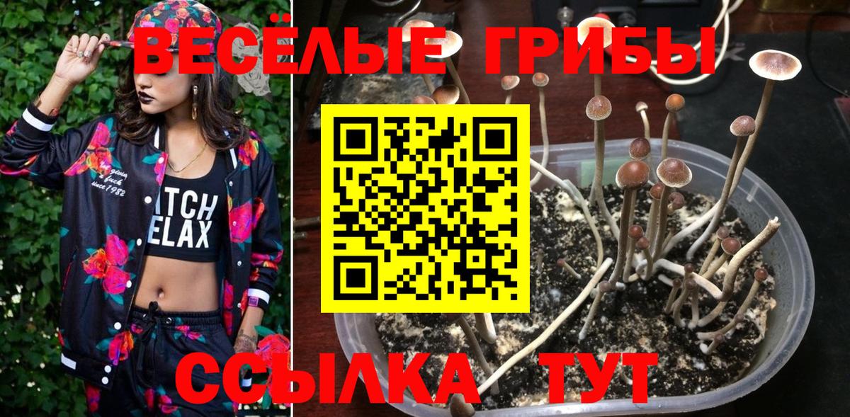 Туапсе  Галлюциногенные грибы GOLDEN TEACHER  Вход с VPN 