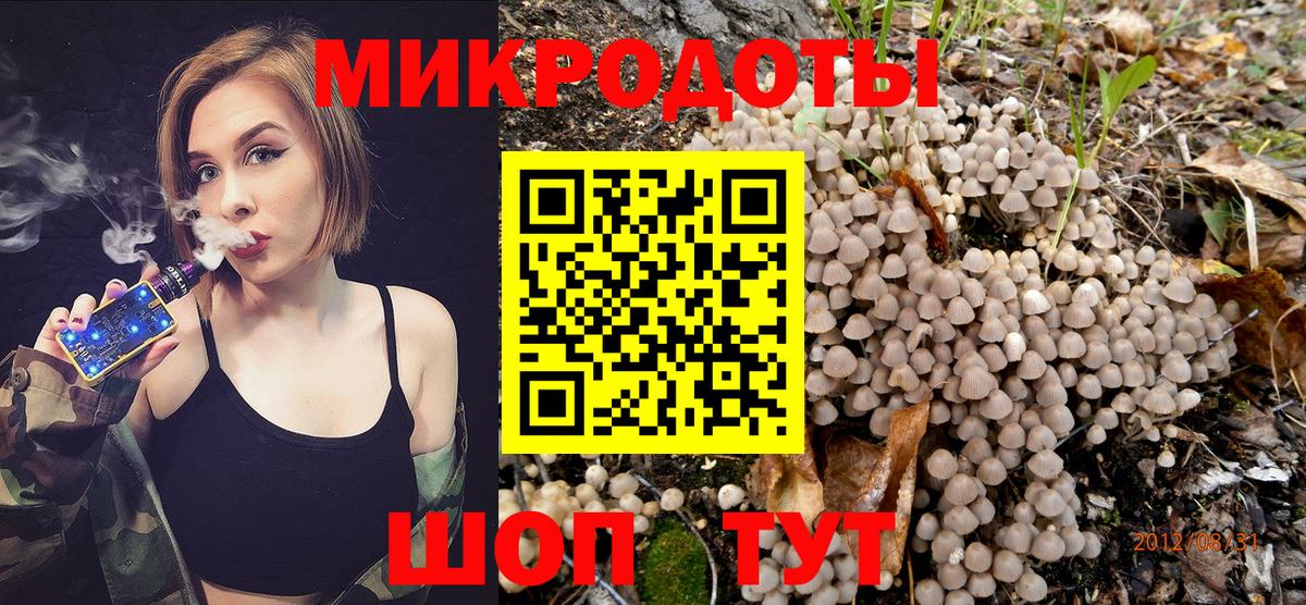 Галлюциногенные грибы Psilocybine cubensis Туапсе